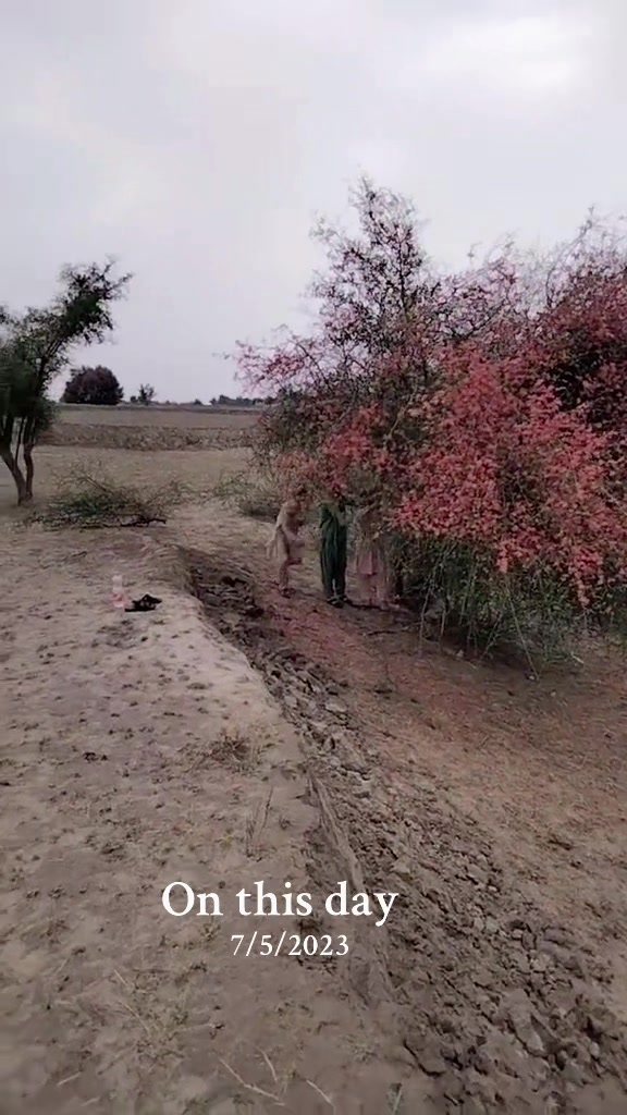 @Zia_Khan