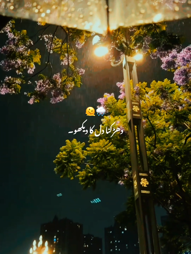 @⍥⃝🦋𝘼𝙌𝙀𝙀𝙇🤝𝐐𝐚𝐬𝐢𝐦&reg;&trade;🧸