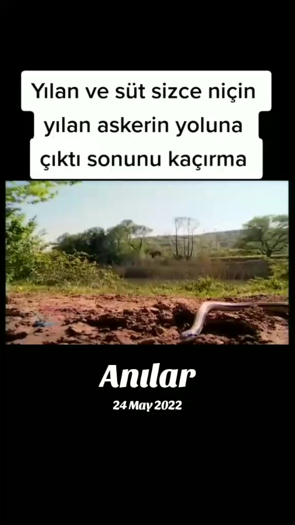 @mustafa_poyraz02