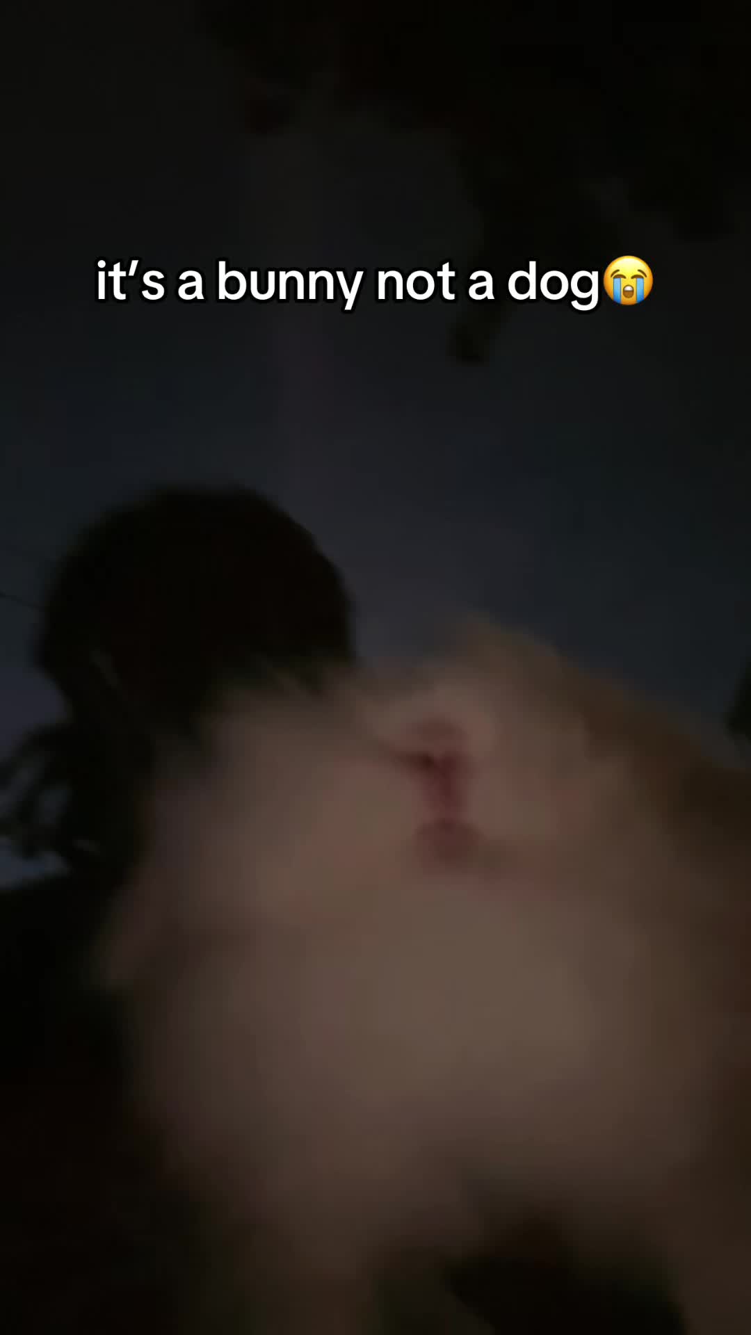 @ksuprie