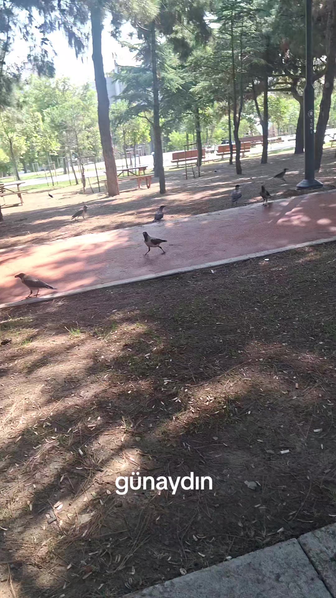@Malatyalı G