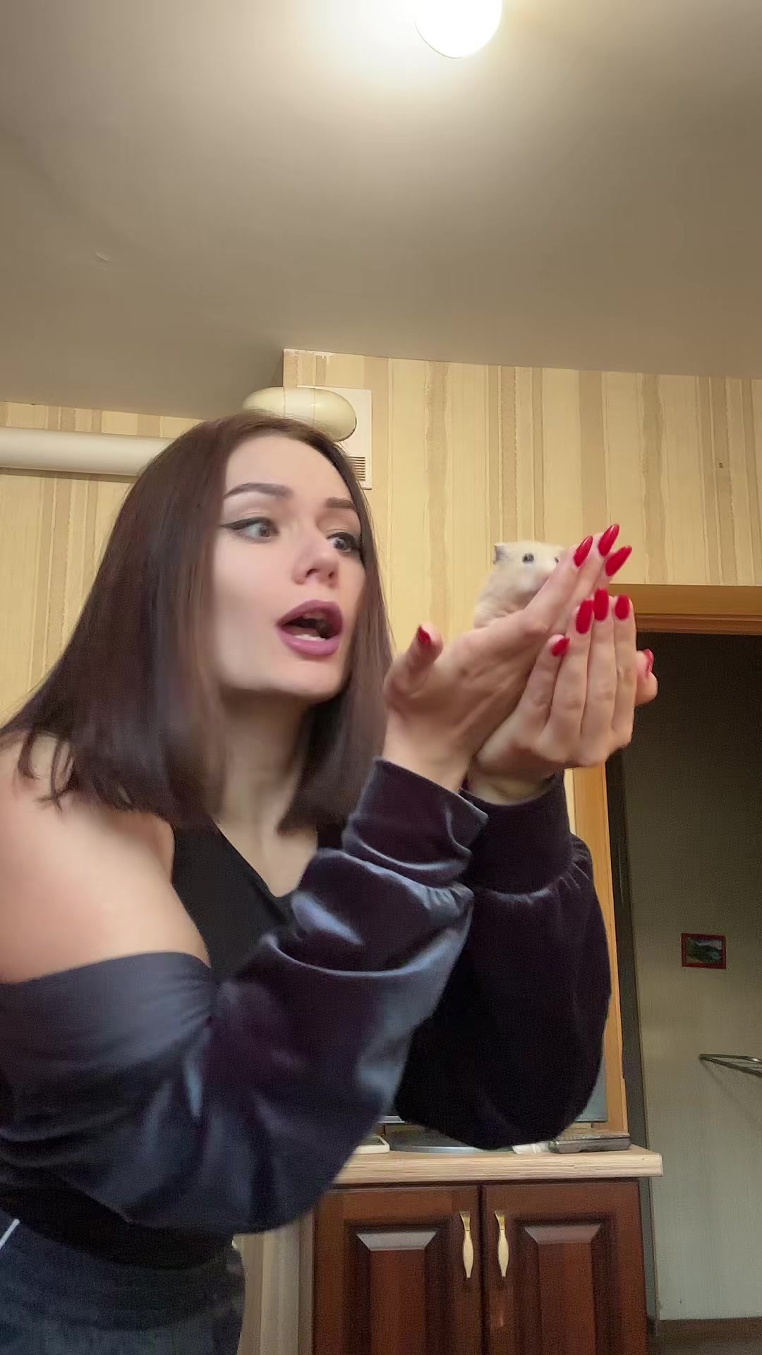 @Arina