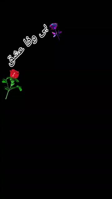 @Muhammad Sidique