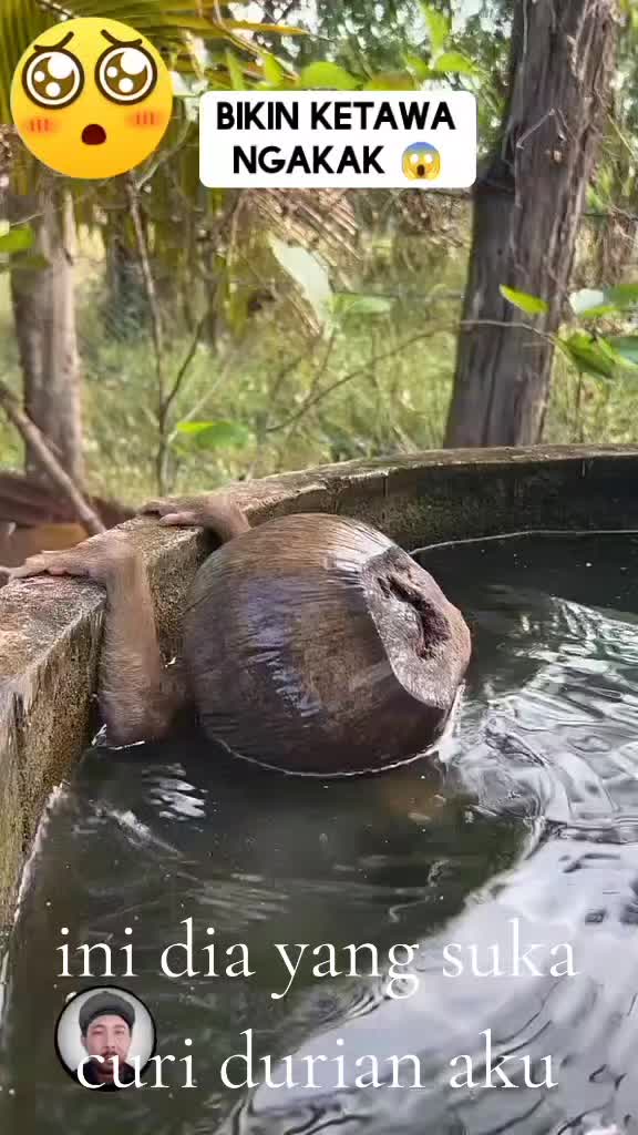 @arulalfan8