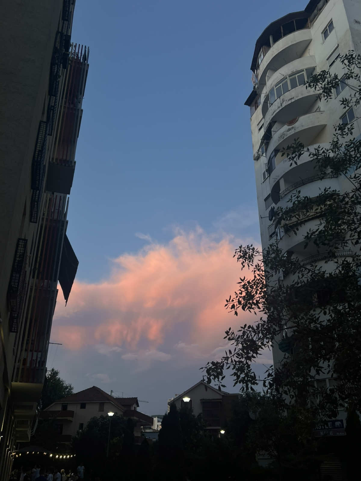 @Bior🧚🏻