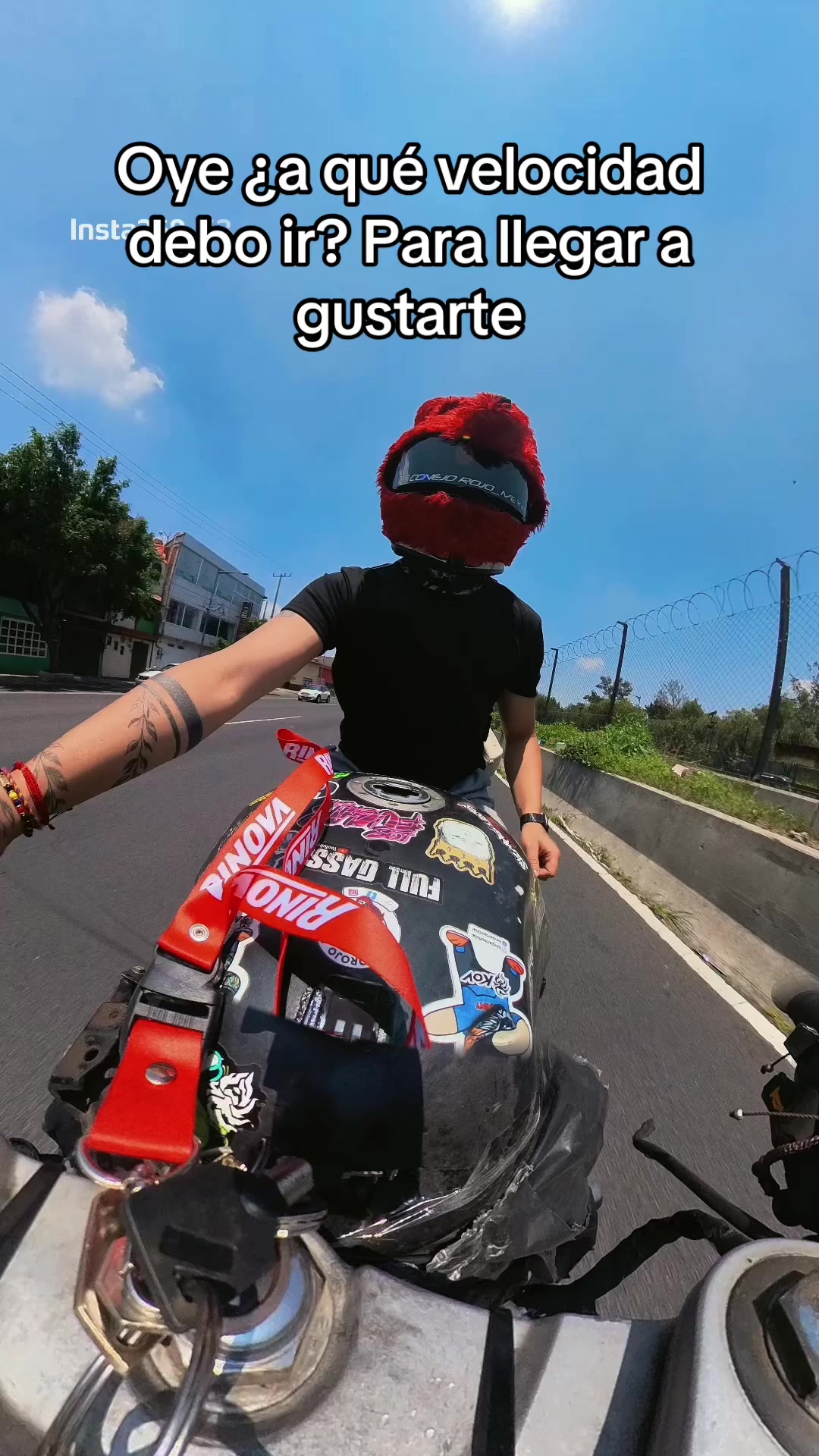 @CONEJOROJO_MEXA