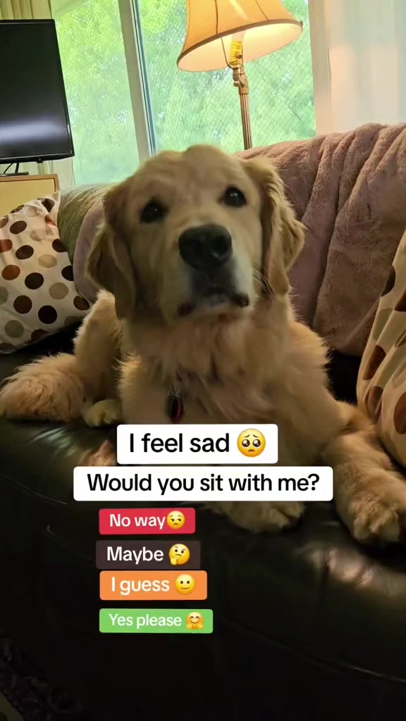 @🐶Griffin