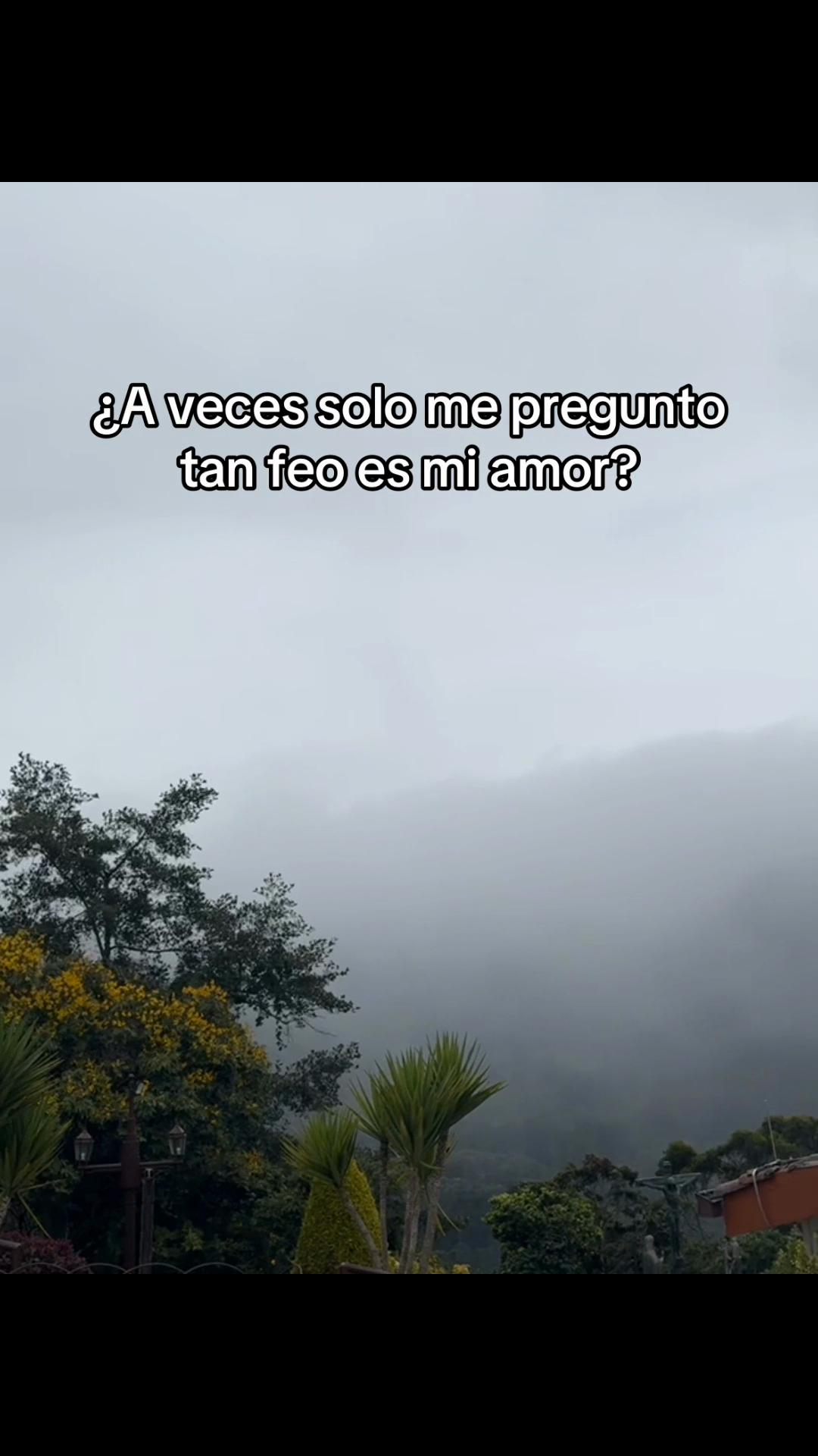 @shairisl