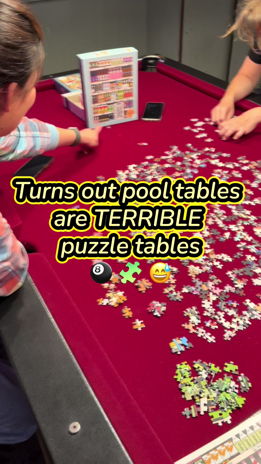@Swan Puzzles