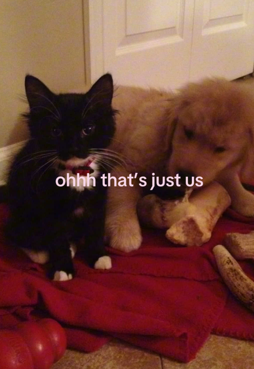 @sunni(!)