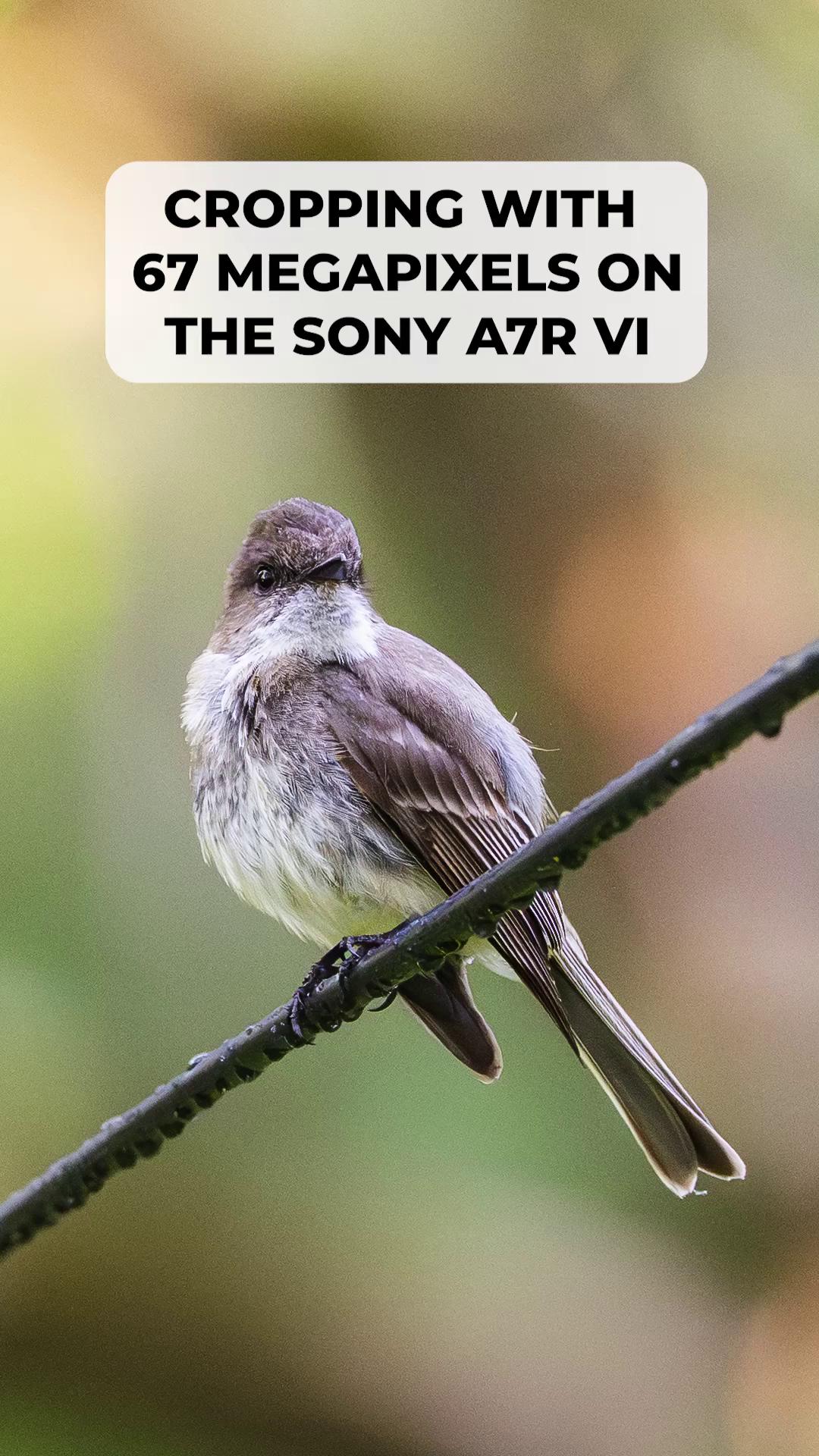 @B&H Photo Video and Pro Audio