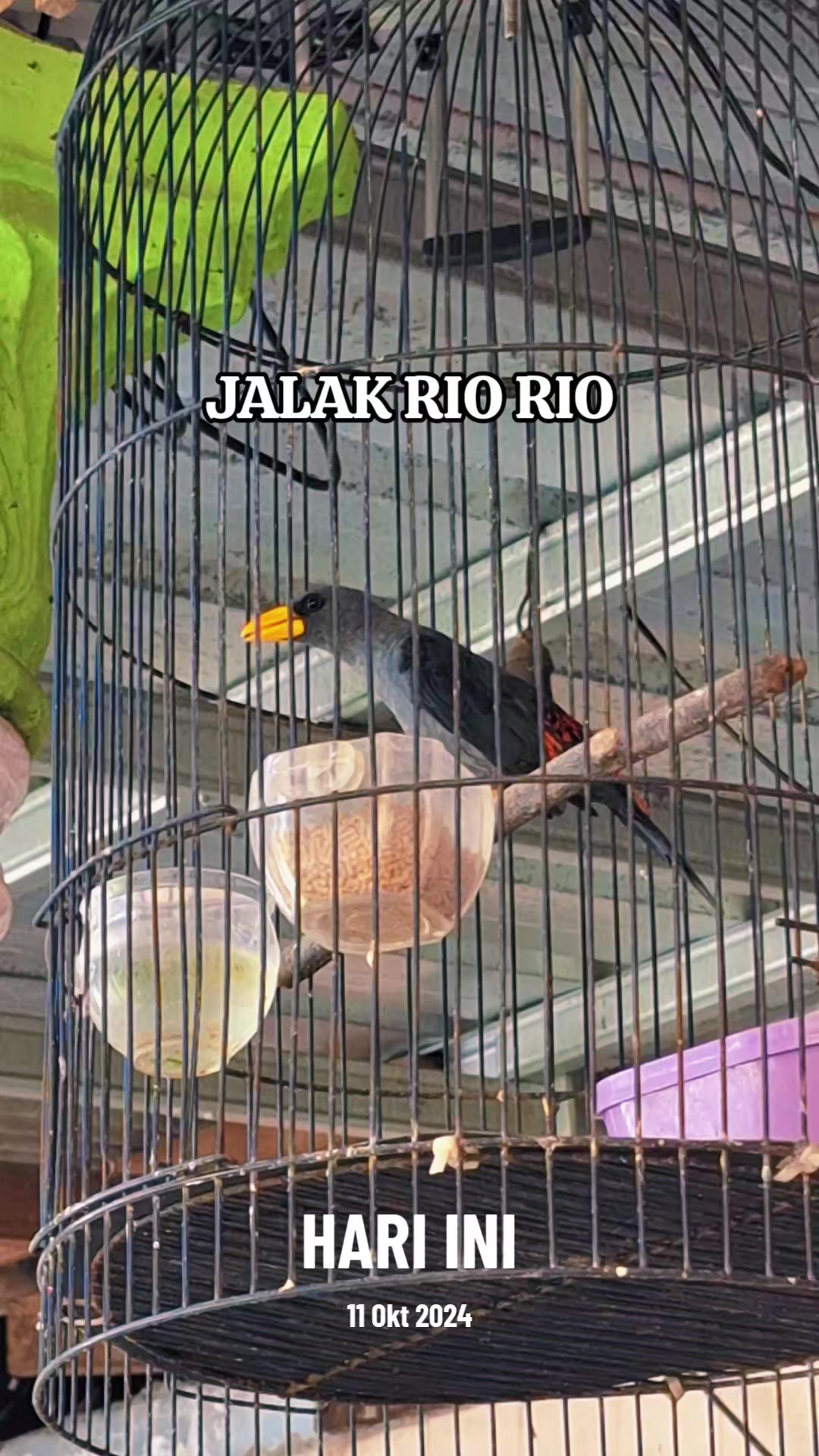 @totalbukpar