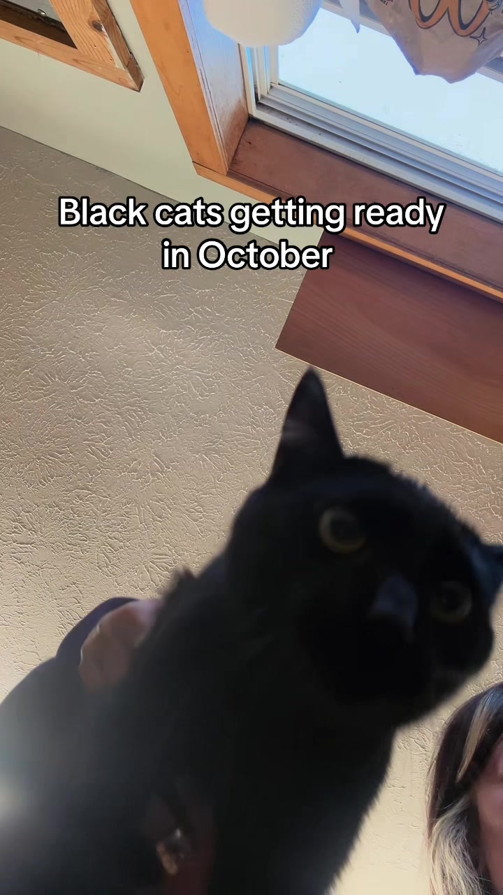 @danilc614🐾