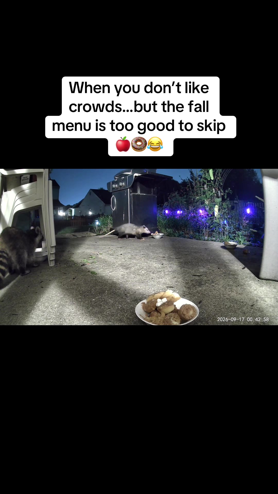 @ErinHessionWooton