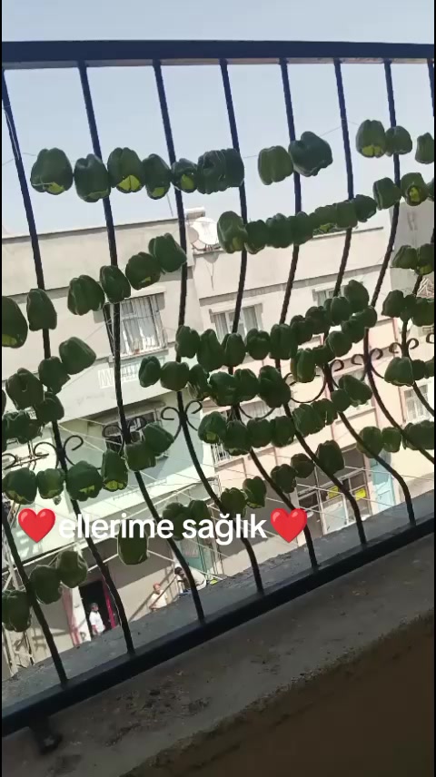 @✌☀𝙃𝘼𝙕𝘼𝙇🌟✌️