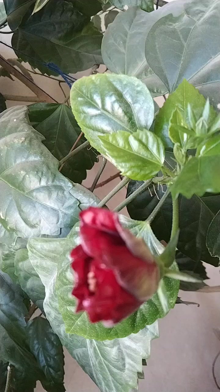 @Артур