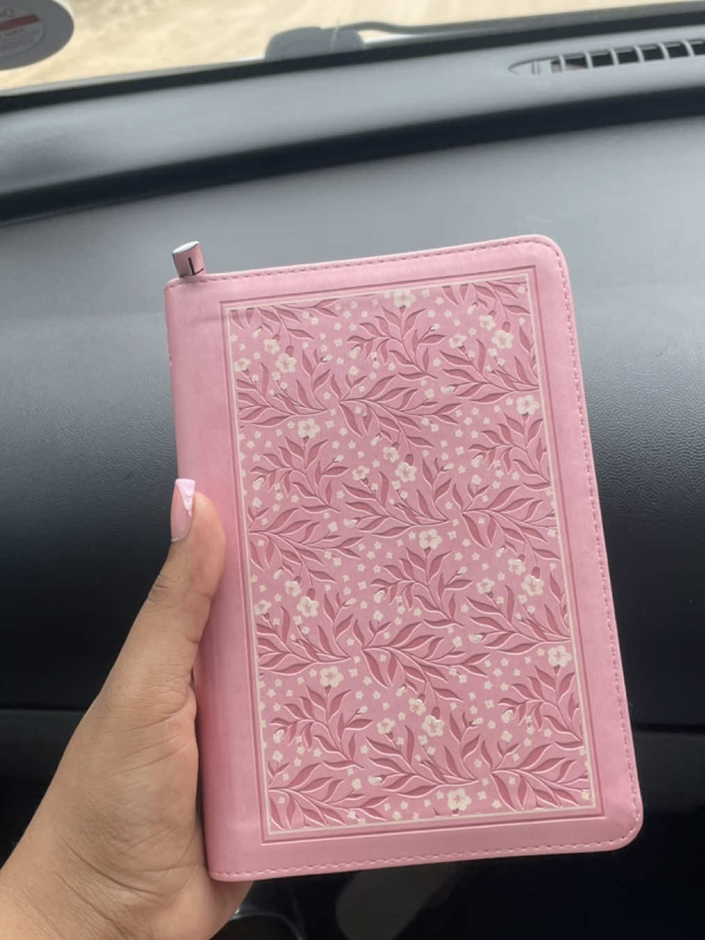 @uDemazane🐘