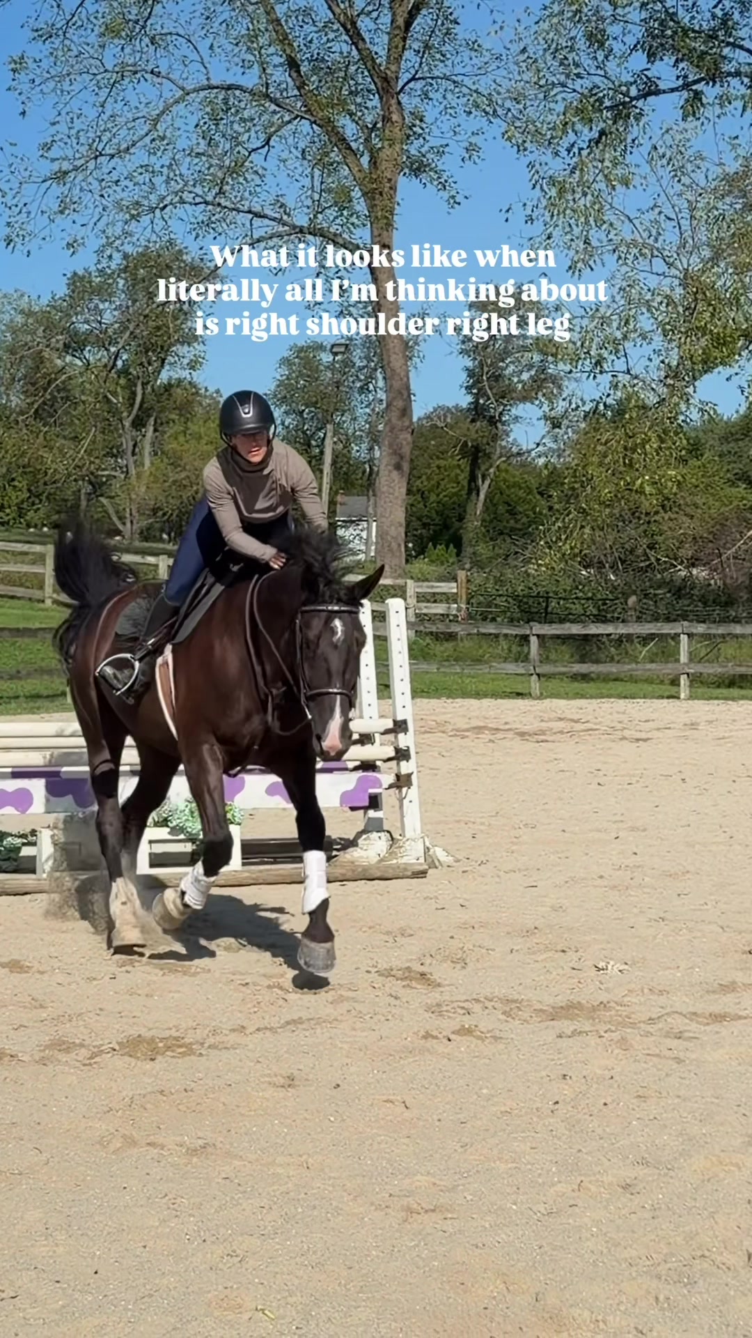@Maria💜| Equestrian🦄