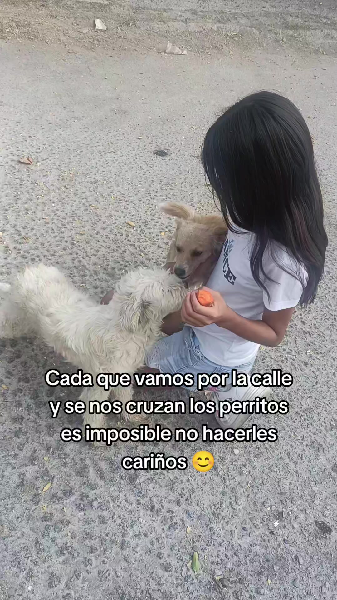 @la loca de los gatos 😽