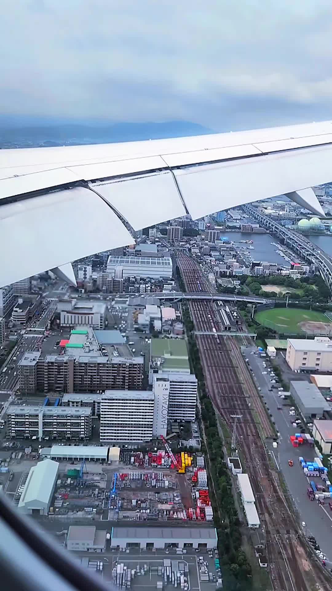 @つるとんたん