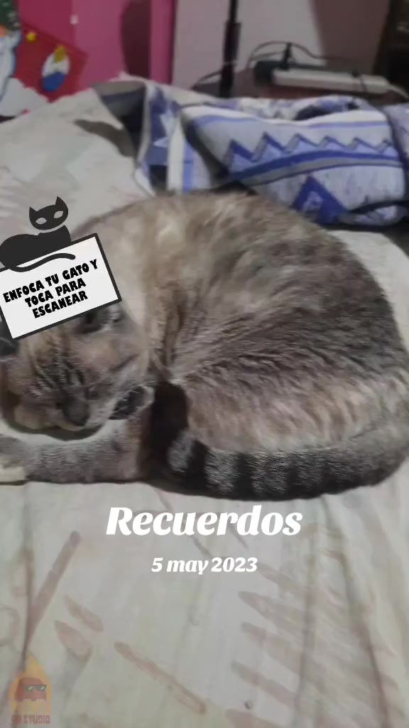 @Mónica 🇪🇨
