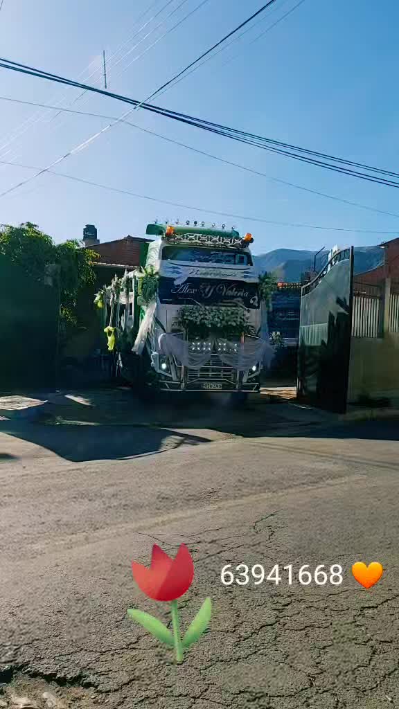 @veronica febrero