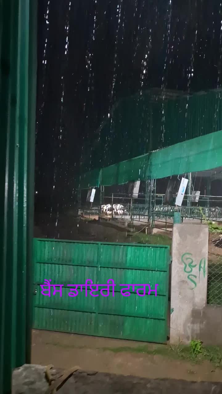 @MandeepBainspb12