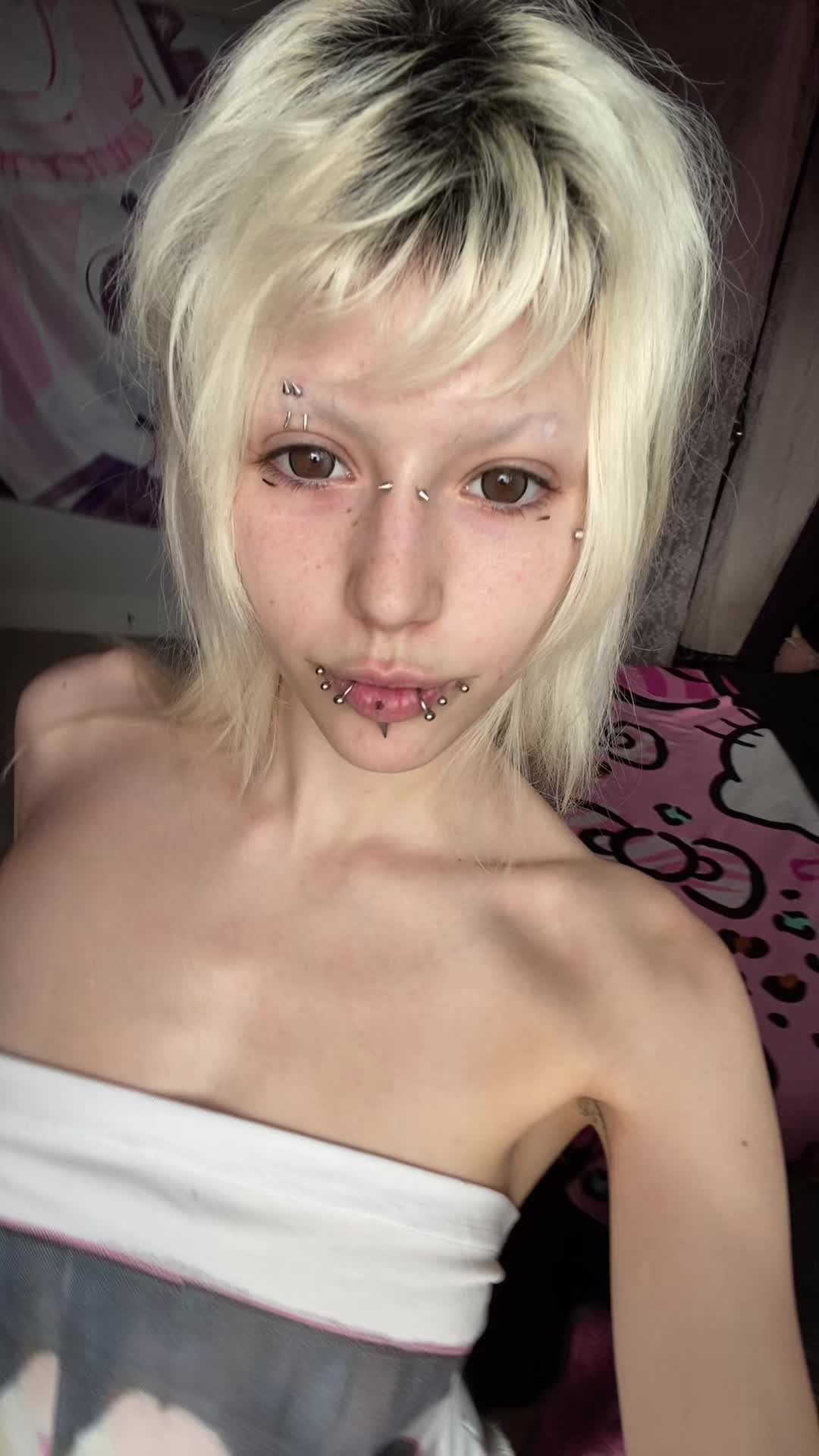 @🐾