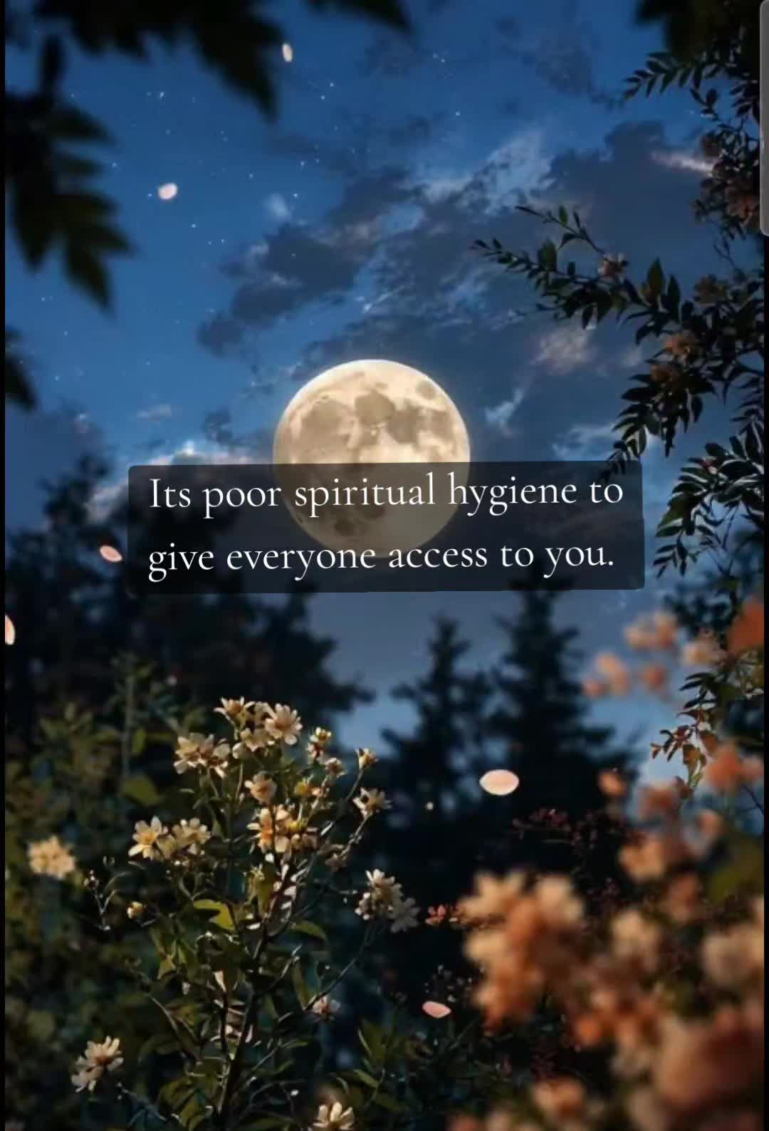 @Mj_MidnightMagic
