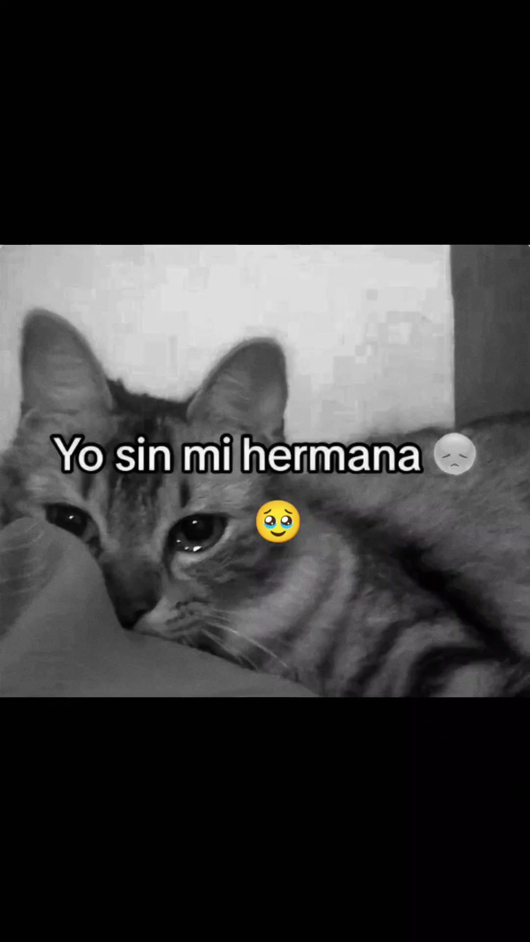 @V_ny❤️🩹🫧