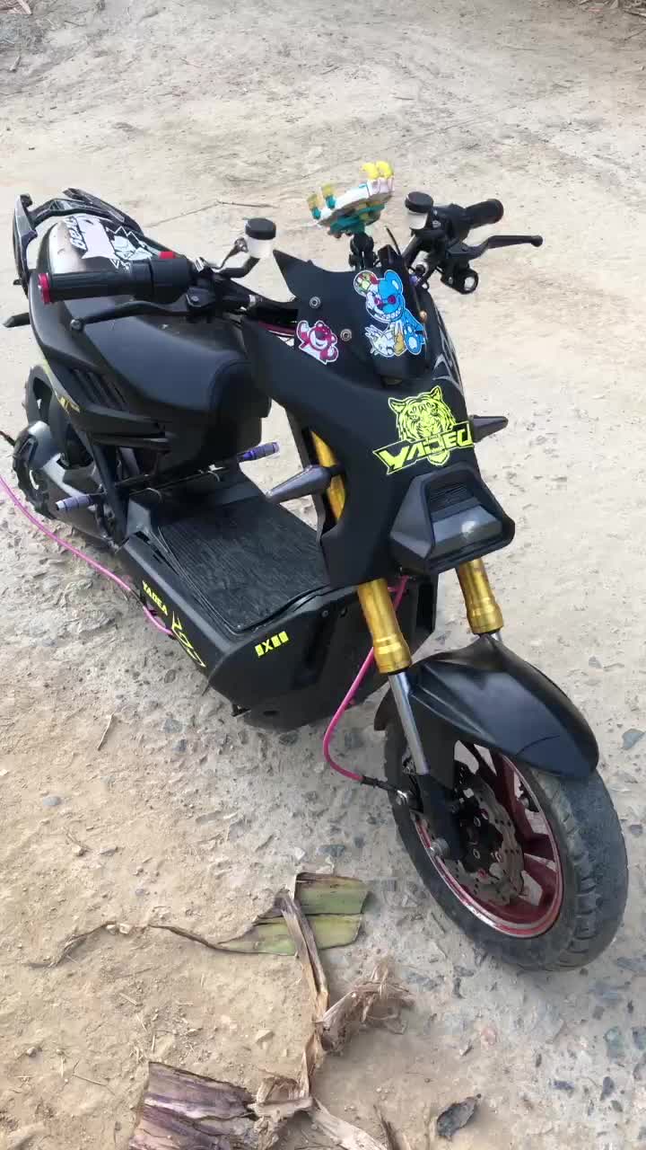 @đông xd