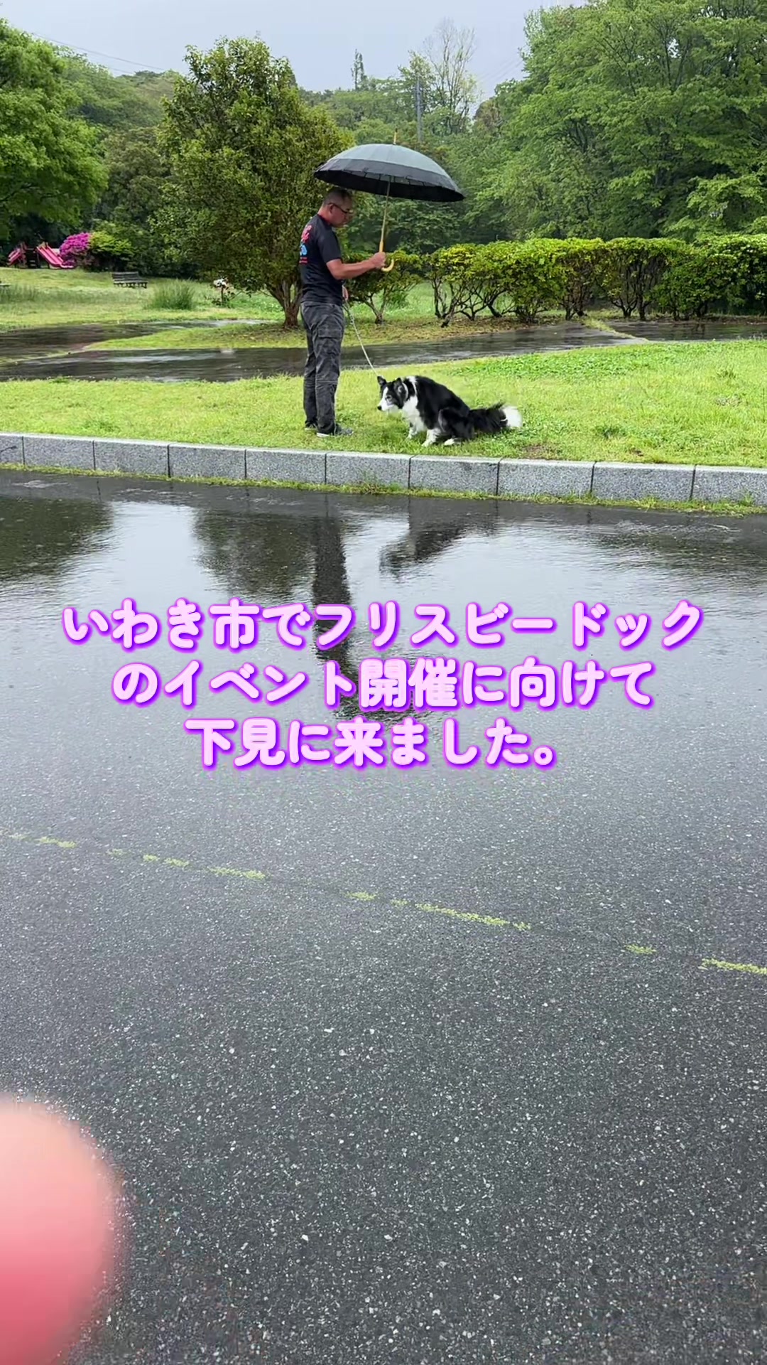 @バツ２オヤジのDiary