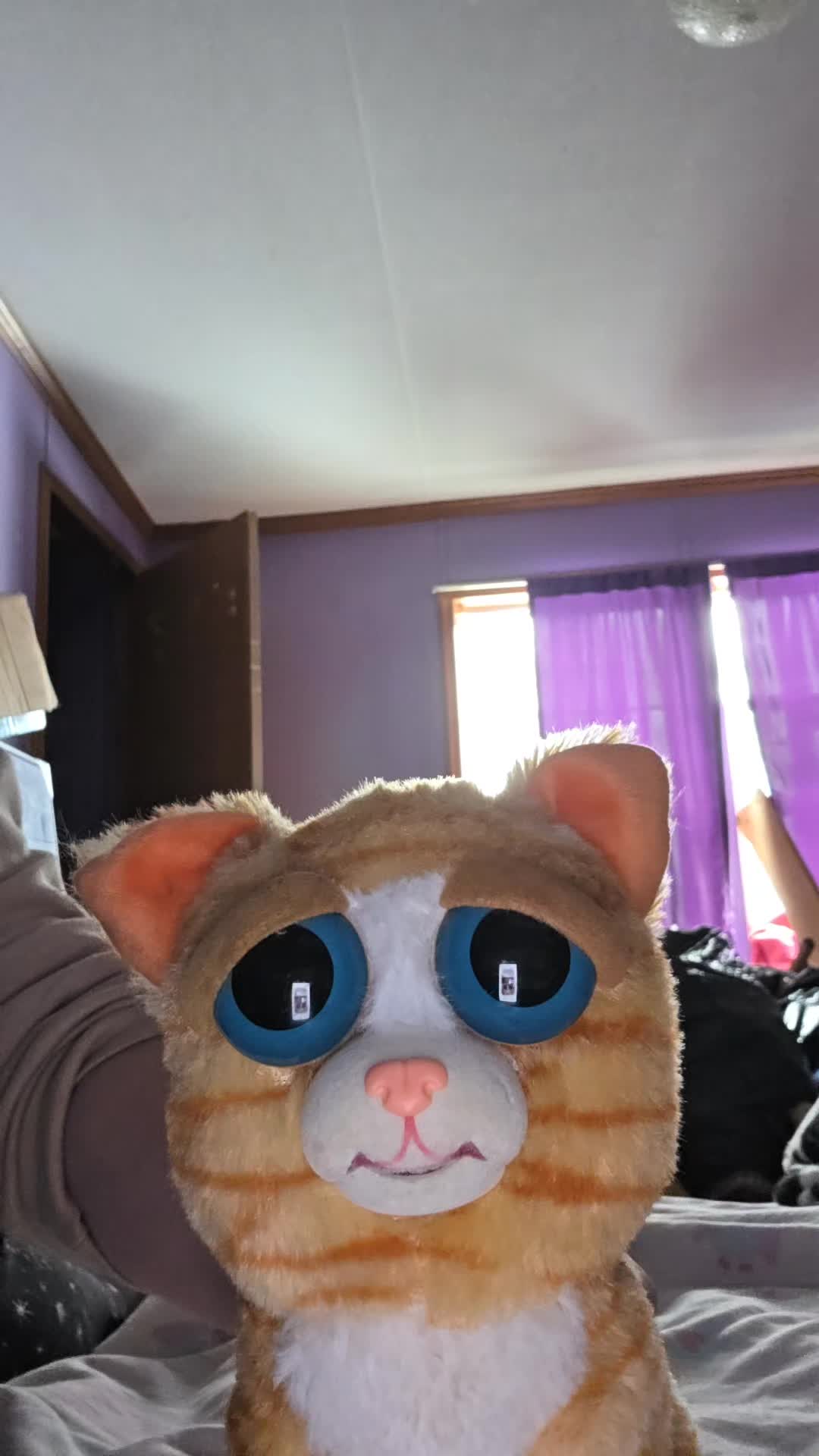 @โ๐ฃ๐๐๐๐๐ค๐คโโ