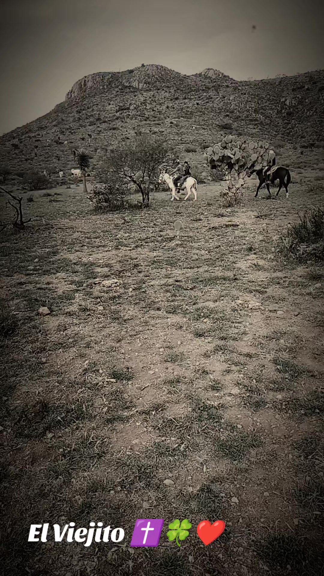 @Viejito Cordova✝️🍀❤️🐎🦅