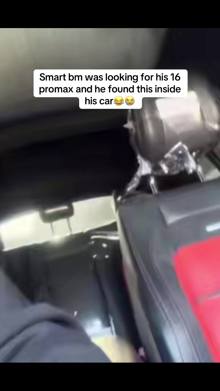 @Fresh Out 76®