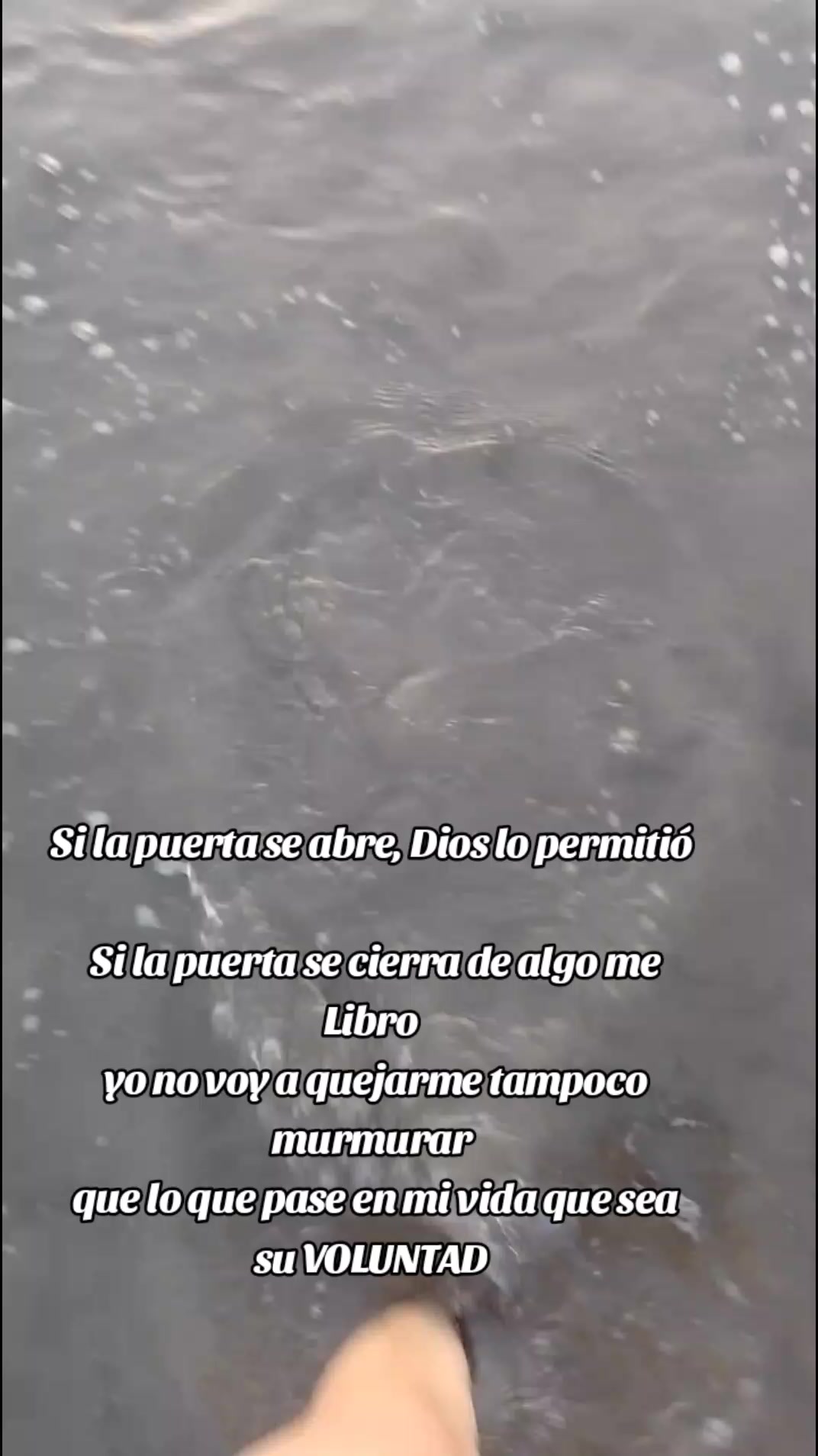 @🌵🪄 Evelyn 🌼 💫
