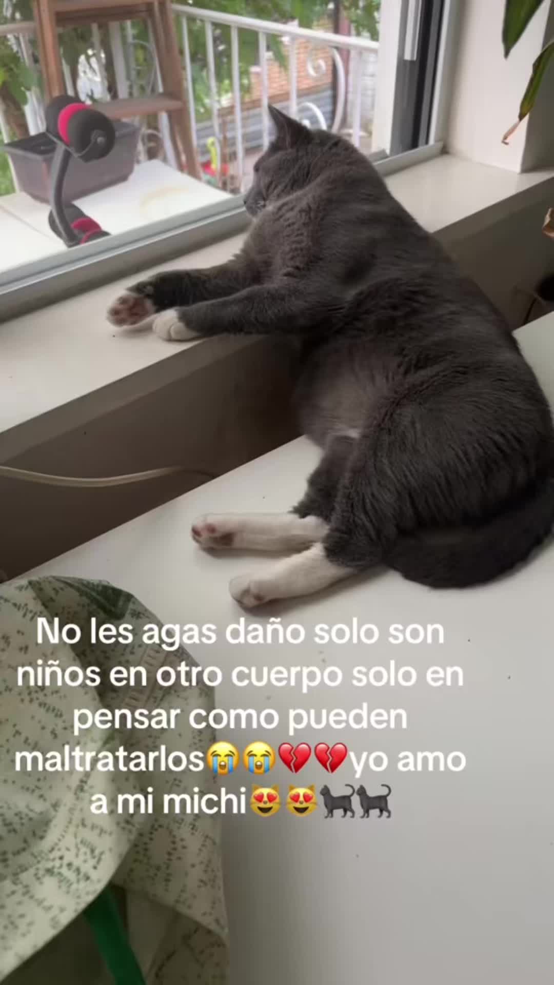 @🍀🧿NEGRA🧿🍀🖤