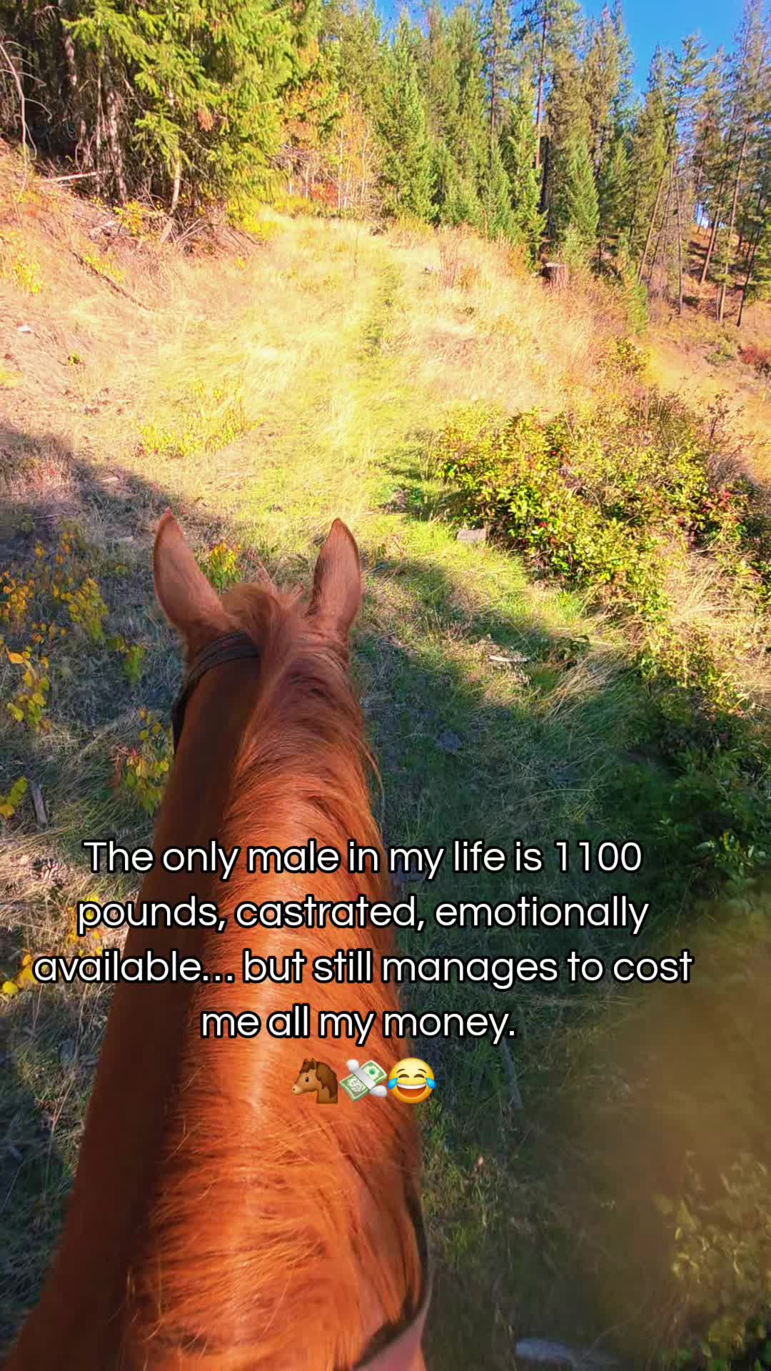 @🐴 ColdMountainRanch 🏇