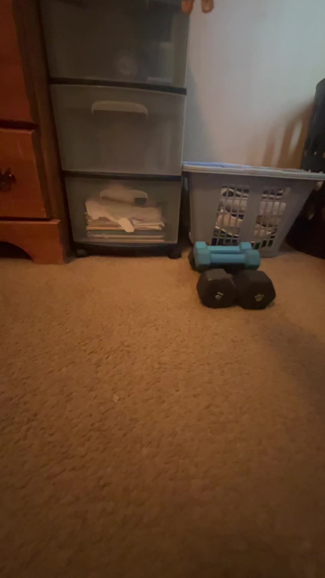 @daved.thomas4856