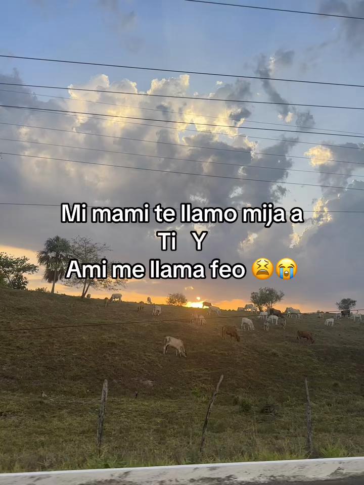 @🎧Rolitas🎶