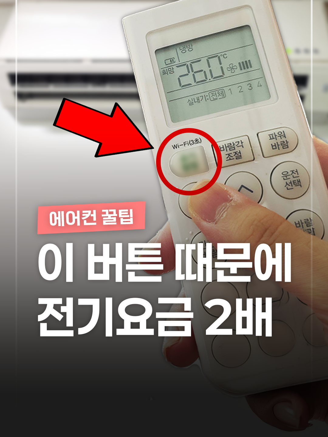 @짤컷