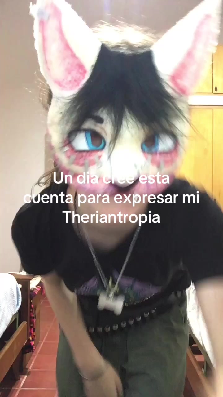 @pawless.naomi
