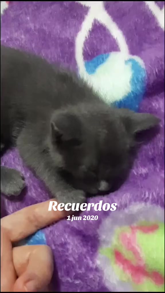 @Karla Caballero Locutora