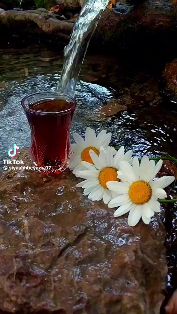 @yılmaz Çetinkaya