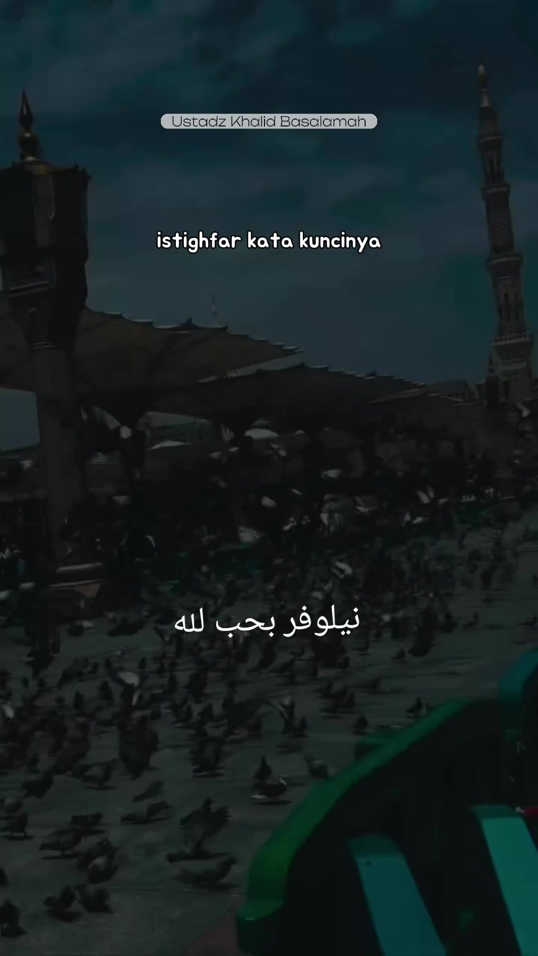 @نيلوفر