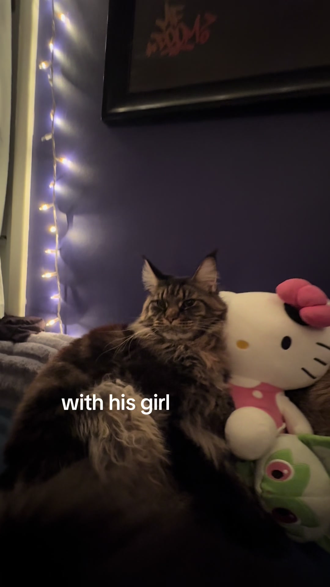 @maryyy🍄🧚🌙🐈⬛