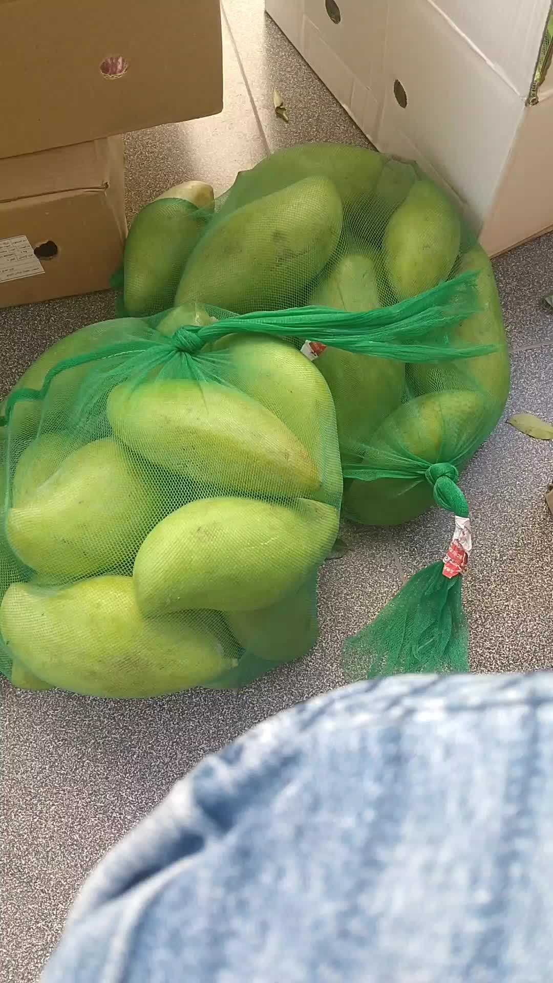 @ఓబులమ్మ బకాల గత 11 ఈసార 161