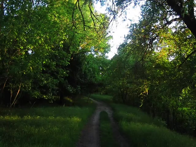@lost in nostalgia