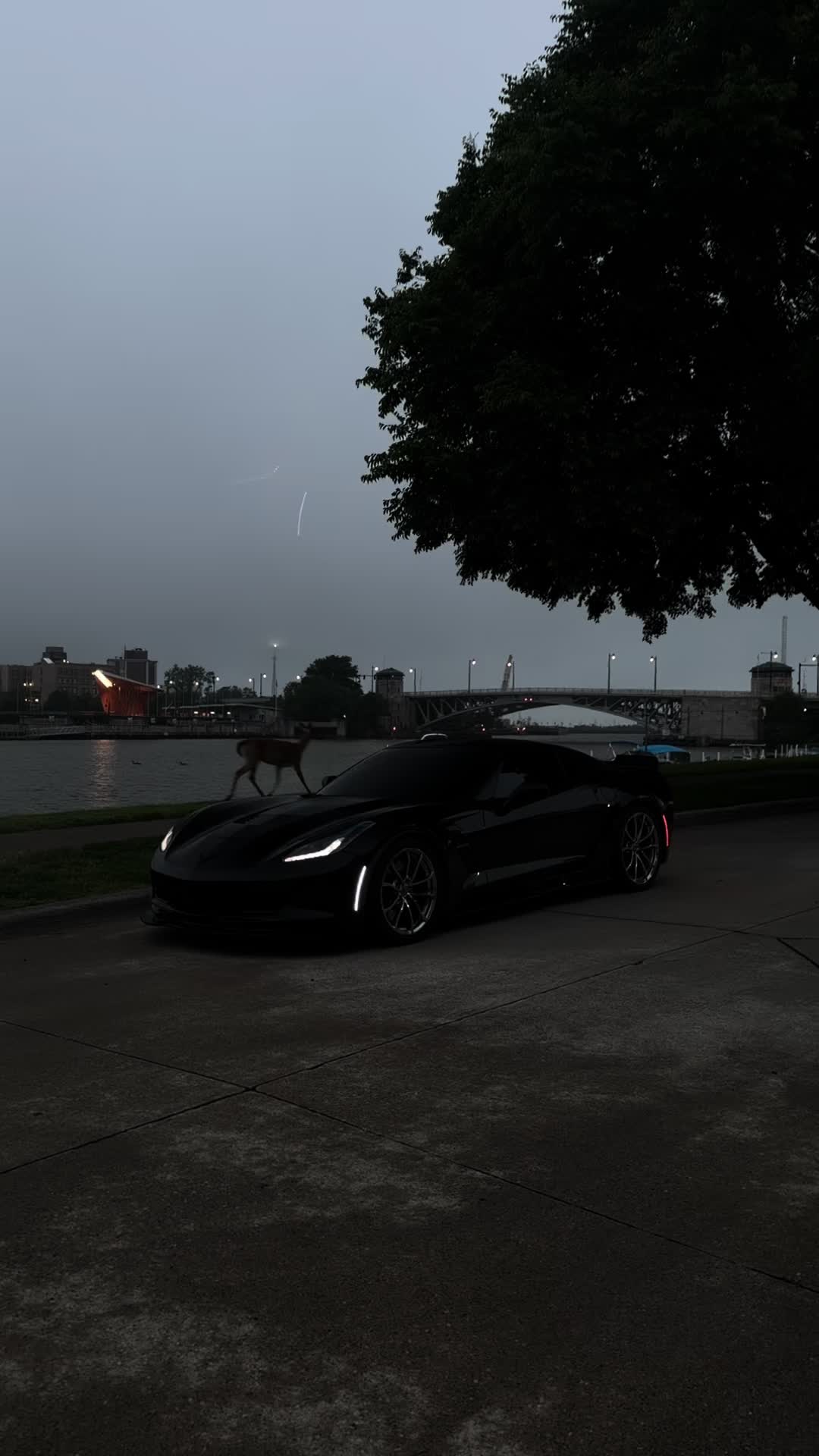 @vette.alex