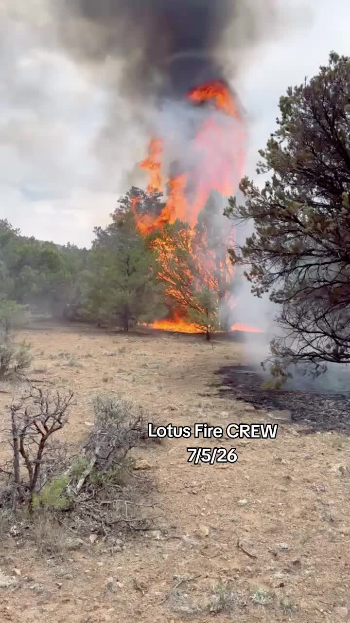 @My Wildfire World
